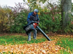 Souffleur Thermique 4 En 1 LBH2600P SCHEPPACH - 5911104903 -Outils Pour La Maison sche0270 4